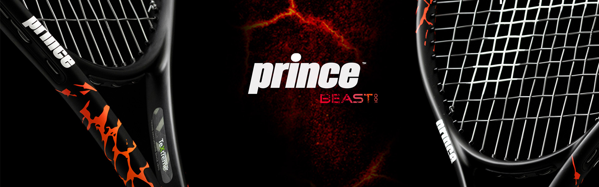 Prince Beast Banner
