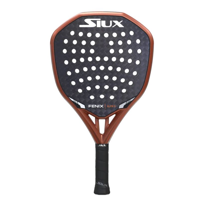 Fenix5elite.3.1