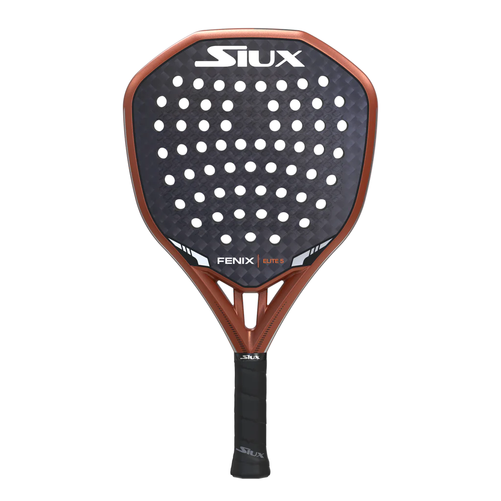 Fenix5elite.3.1