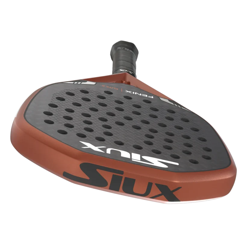 Fenix5elite.3.7