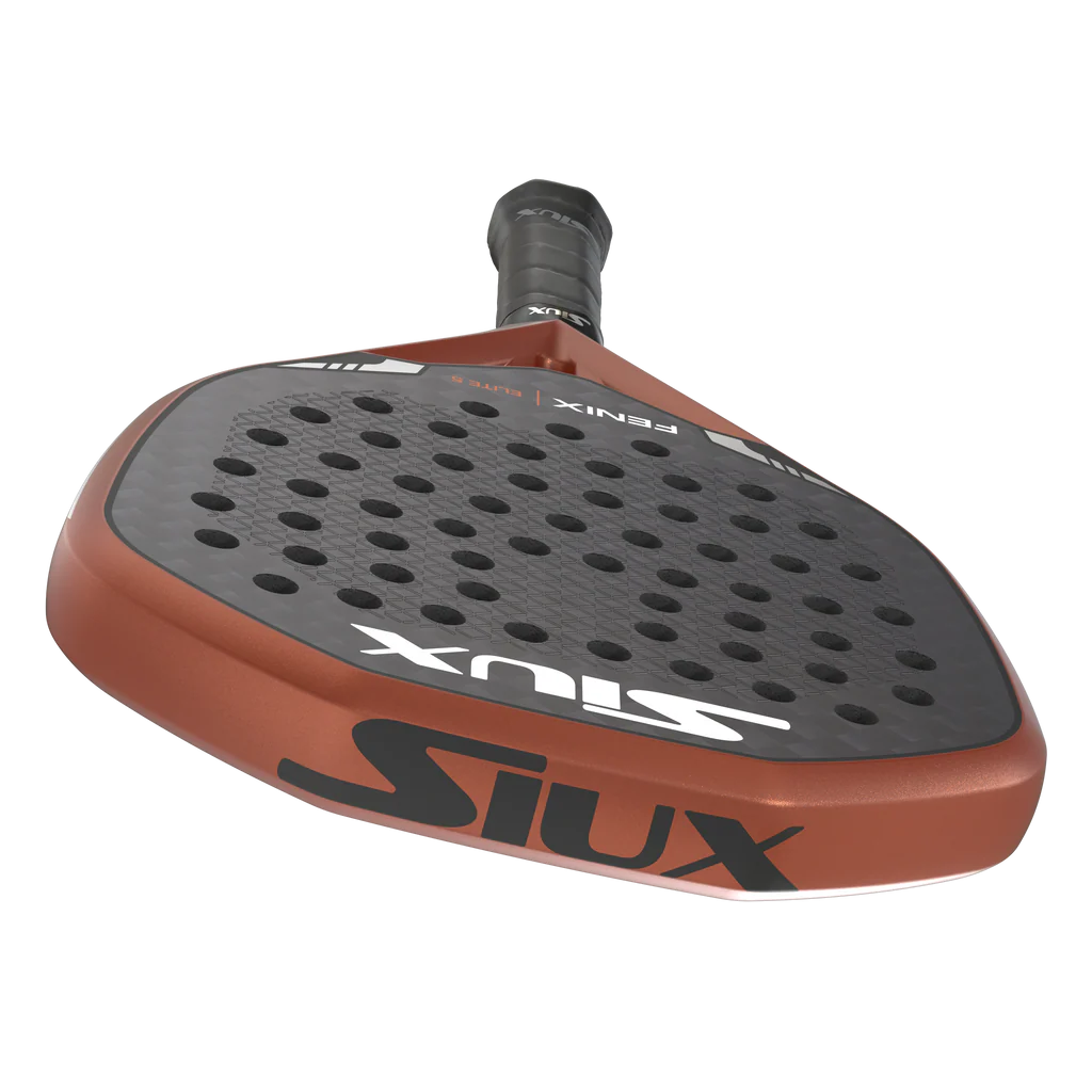 Fenix5elite.3.7