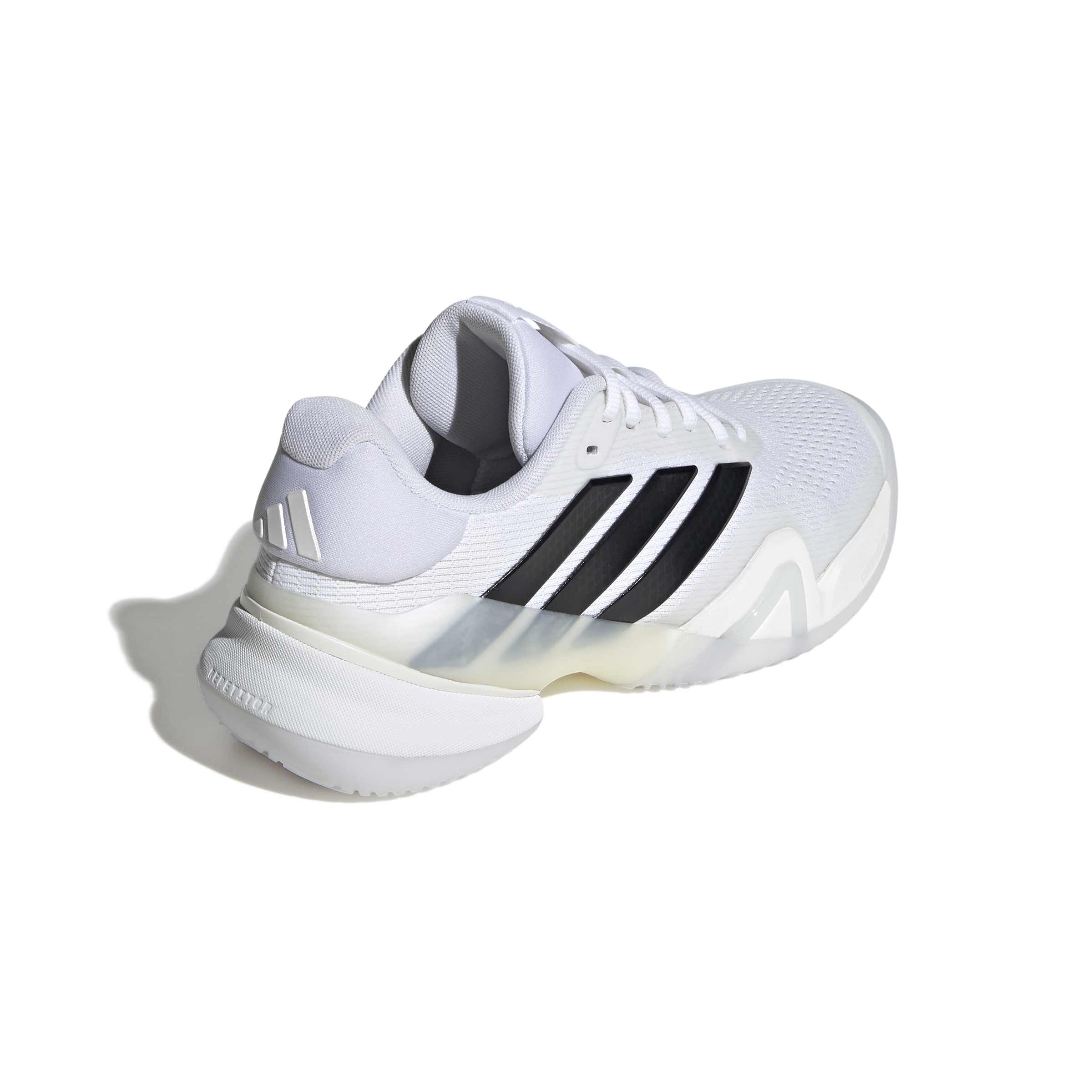 ‏‏jr1763 7 Footwear Photography Back Lateral Top View White עותק
