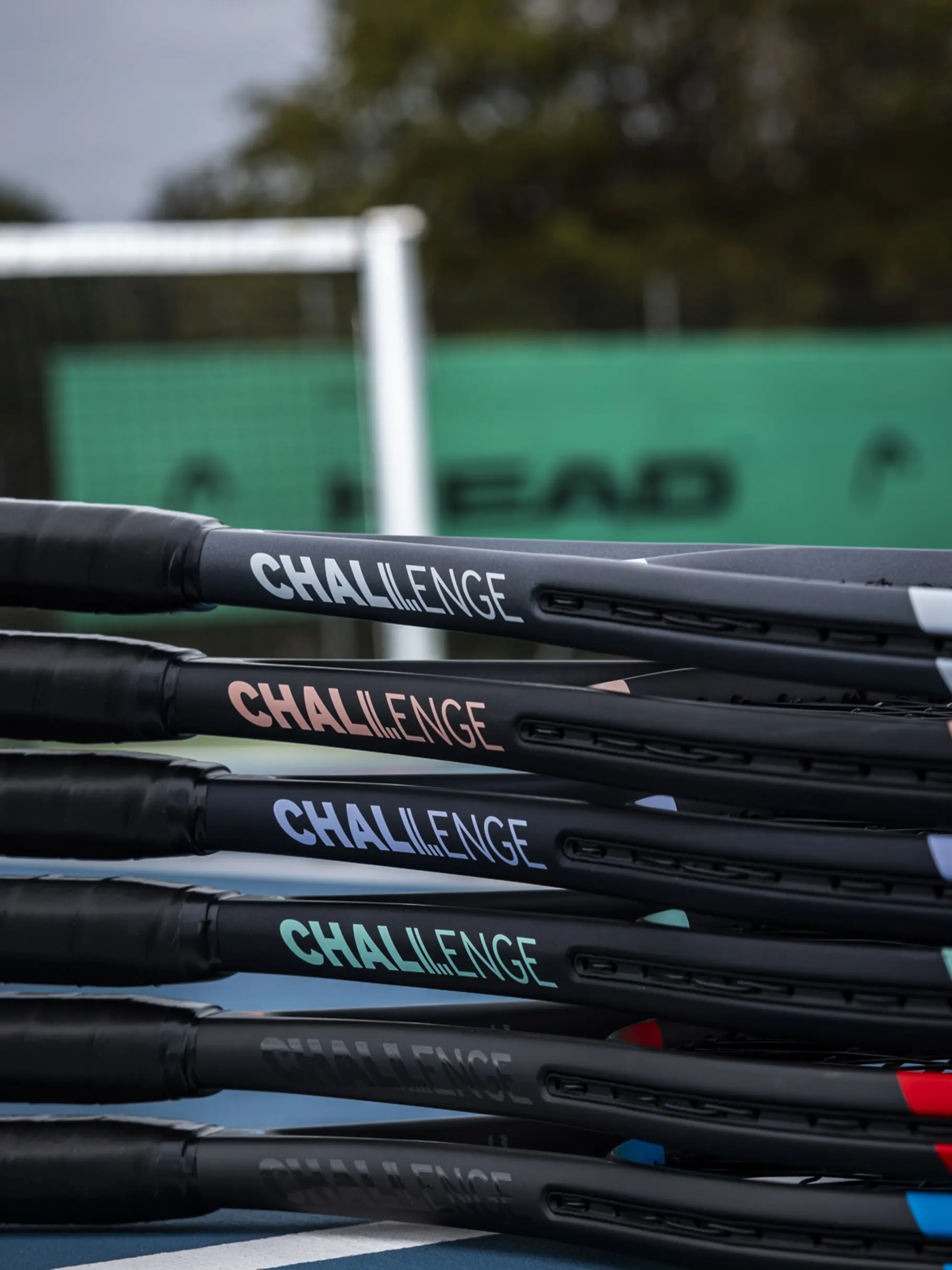 Ig Challenge Team Purple (4)