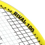 Rival 100 7